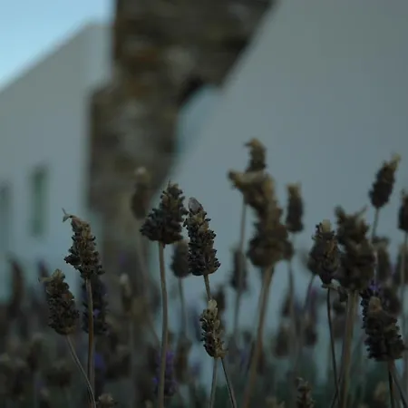 St George Antiparos And